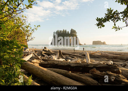 Pacific Coast, Olympic National Park, Cape Alava Stockfoto