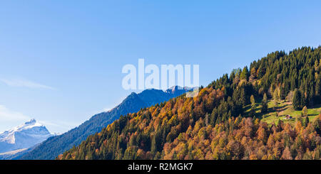 Schweiz, Kanton Bern, Berner Oberland, Saanenland, Gstaad, Herbst Wald, Bauernhof Stockfoto