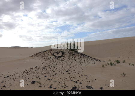 Niedrige Sonne am späten Nachmittag, Texturen und Muster in den Sand im natürlichen Park, Corralejo, Fuerteventura, Canary-Islands, Spanien. Stockfoto