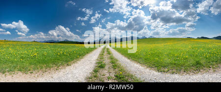 Panorama Landschaft im Allgäu in der Nähe von Füssen mit Feld Pfad und Blumenwiese im Frühjahr Stockfoto