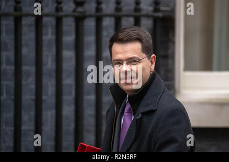 London, 20. November 2018, James Brokenshire, MP PC, Gemeinschaften Sekretär, kommt an einer Kabinettssitzung am 10 Downing Street, London Credit Ian Davidson/Alamy leben Nachrichten Stockfoto