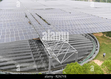 (181120) - SHISHI, November 20, 2018 (Xinhua) - Solarmodule sind in einem Klärwerk in Shishi Stadt im Südosten der chinesischen Provinz Fujian, Nov. 20, 2018. Die Photovoltaic Power Station über eine Kläranlage gebaut wurde an das Netz angeschlossen und in Betrieb genommen. Auf einer Fläche von mehr als 4.000 Quadratmeter, die Photovoltaik- Kraftwerk voraussichtlich 3,5 Millionen Kilowattstunden pro Jahr zu generieren. (Xinhua / Song Weiwei) (Wsw) Stockfoto