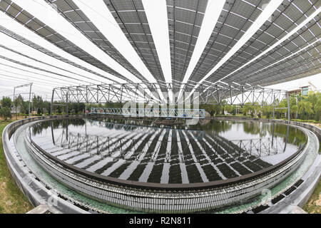 (181120) - SHISHI, November 20, 2018 (Xinhua) - Solarmodule sind in einem Klärwerk in Shishi Stadt im Südosten der chinesischen Provinz Fujian, Nov. 20, 2018. Die Photovoltaic Power Station über eine Kläranlage gebaut wurde an das Netz angeschlossen und in Betrieb genommen. Auf einer Fläche von mehr als 4.000 Quadratmeter, die Photovoltaik- Kraftwerk voraussichtlich 3,5 Millionen Kilowattstunden pro Jahr zu generieren. (Xinhua / Song Weiwei) (Wsw) Stockfoto
