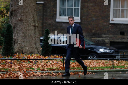 London, Großbritannien. 20 Nov, 2018. Der britische Staatssekretär für Verteidigung Gavin Williamson kommt an der Downing Street für eine Kabinettssitzung in London, Großbritannien an November 20, 2018. Credit: Han Yan/Xinhua/Alamy leben Nachrichten Stockfoto