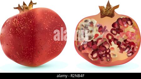 3D-Vektor realistische Granatapfel, tropische Früchte, auf weißem Hintergrund. Satz Reifen pomegranat, Red Ruby Granatapfel Obst isoliert. Stock Vektor