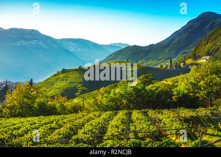 Weinberge in Santa Maddalena Piazza Walther Bozen. Trentino Alto Adige Sud Tirol, Italien und Europa. Stockfoto