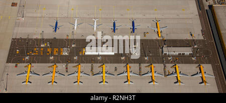 Luftaufnahme, Flughafen Leipzig, Fracht Flughafen Internationaler Flughafen, Sachsen, DHL, Cargo Aircraft, Spediteur, Night Flight, Luftaufnahme, August Euler Straße, Schkeuditz, Sachsen, Deutschland, Europa, Stockfoto