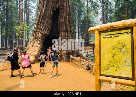 Juli 17, 2018 Mariposa Grove/Yosemite Nationalpark/Kalifornien/USA-Touristen die Bilder mit dem Tunnel Giant Sequoia Baum Stockfoto