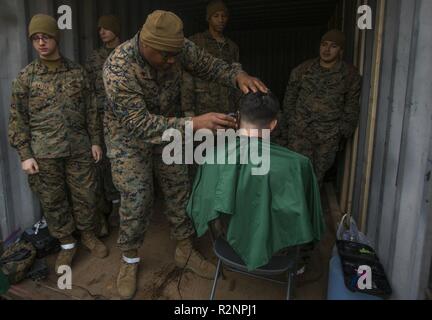 Us Marine Corps Sgt. Shaine Phillips mit 2 Intelligenz Bataillon, II Marine Expeditionary Force Information Group Schnitte Marines Haar während der Übung Trident Punkt 18 am Vaernes Air Station, Norwegen, Nov. 4, 2018. Trident Punkt 18 erweitert die USA und die NATO-Verbündeten und Fähigkeiten der Partner zur Zusammenarbeit militärische Operationen unter schwierigen Bedingungen durchzuführen. Stockfoto