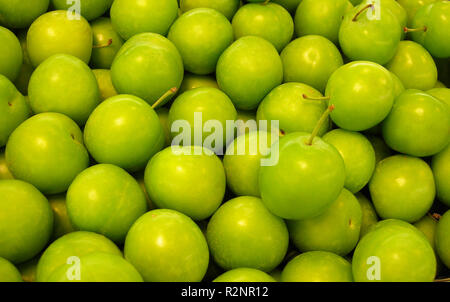 Koromila-griechischen Mirabelle Stockfoto