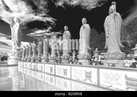 Schönheitsarchitektur führt zur Lord Buddha Statue, die in der Dai Tong Lam Pagode leuchtet, die Touristen anzieht, spirituell an Wochenenden in Vung Tau zu besuchen Stockfoto