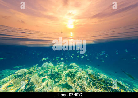 Erstaunliche Unterwasserfoto mit Oberfläche Sonnenuntergang Himmel Blick. Tropische Korallenriffe unter der Oberfläche und ein wolkiger Himmel über der Oberfläche Stockfoto