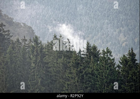 Nebligen Landschaft in Brocken,Harz,Germany.Brocken Im Nebel Und Regen, Harz. Stockfoto