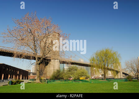 Brooklyn Bridge und Park, New York Stockfoto