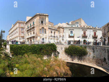 Fonte Aretusa Feder, Papyrus Segge, Ortygia, Ortigia, UNESCO World Heritage kulturelle Ort, Syrakus, Sizilien, Italien, Europa Stockfoto