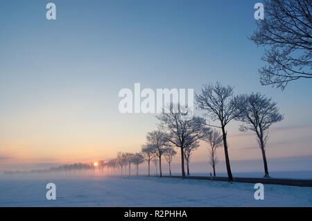 Wintermorgen 2 Stockfoto