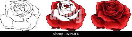 Rose Hand zeichnen und gefärbt. Eine blühende Rose. Vector Illustration. Stock Vektor