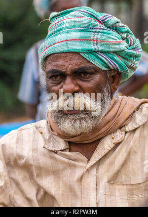 Angadihalli, Karnataka, Indien - November 2, 2013: Portrait von älteren Mann mit weissen und roten Bart tragen von grünen Turban, beige Shirt und Schal. Stockfoto