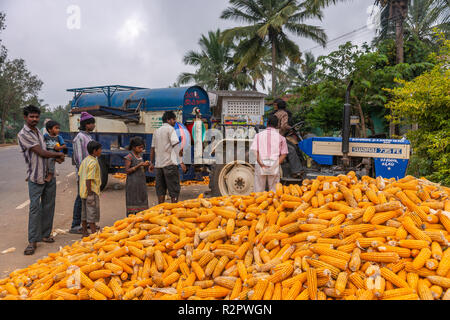 Angadihalli, Karnataka, Indien - November 2, 2013: Blau dreschmaschine am Traktor kommt hinter Haufen orange Maiskolben. Die Leute in der Straße sind watc Stockfoto