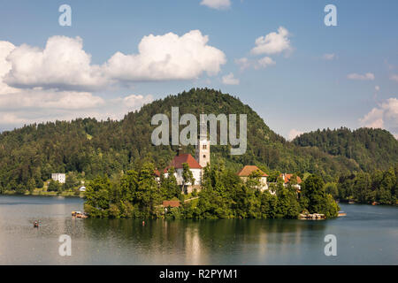 Barocke Kirche auf der Insel Bled, Bled, Julische Alpen, Obere Krain, Slowenien Stockfoto