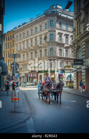 Europa, Österreich, Wien, Innere Stadt Bezirk, Stadtzentrum, Tuchlauben, Beförderung, Fiaker Stockfoto