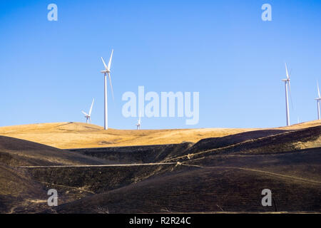 Windenergieanlagen auf dem goldenen Hügel östlich der Bucht von San Francisco; verbrannte Gras im Vordergrund; Altamont Pass, Livermore, Kalifornien Stockfoto