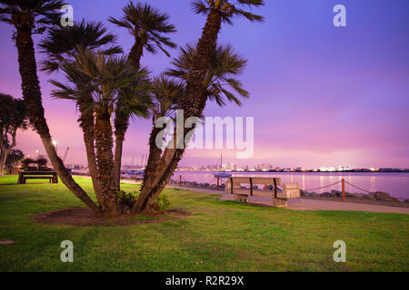 Schöne San Diego Kalifornien Skyline und Bucht bei Nacht Stockfoto