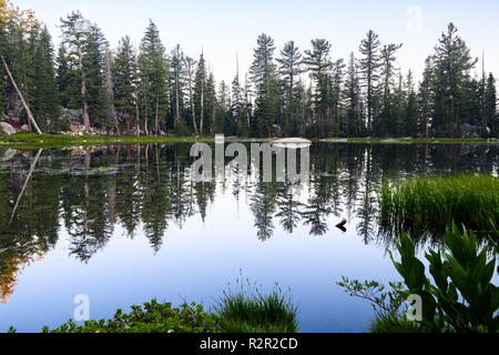 Morgen Blick auf den See, mit perfekten Reflexion der Bäume im Wasser Oberfläche, Yosemite National Park, in den Bergen der Sierra Nevada, Kalifornien Stockfoto