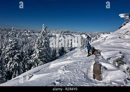 Oder 02423-00 ... OREGON - Ansicht der Crater Lake Lodge aus dem Garfield Peak Trail auf einem sonnigen Wintertag im Crater Lake National Park. Stockfoto