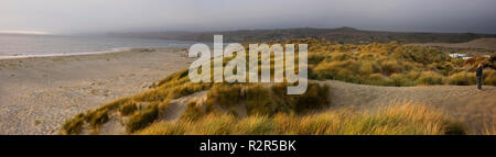 Grasbewachsene Dünen auf einem entfernten Strand. Stockfoto