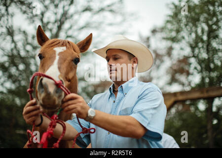 Mitte der Erwachsenen Trainer Pferd sanft gleitet ein Seil Halfter um die Nase des Pferdes in der trainingskoppel auf der Ranch. Stockfoto