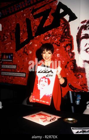 LOS ANGELES, Ca - 27. Januar: Schauspielerin/Sängerin Liza Minelli Autogramme Kopien von Ihrem neuen Album und Konzert video' Liza Live aus der Radio City Music Hall" am 27. Januar 1993 an der Wherehouse in Los Angeles, Kalifornien. Foto von Barry King/Alamy Stock Foto Stockfoto