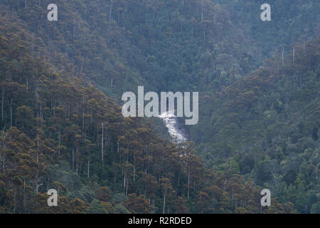 Ansicht der Leven River hinunter in Leven Canyon leven Canyon North West Tasmanien Australien Stockfoto