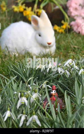 Funktion foto Ostern Stockfoto