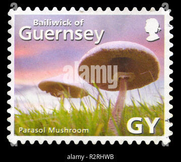 Briefmarken aus der Vogtei Guernsey Guernsey Gesellschaft in der Serie in 2007. Stockfoto