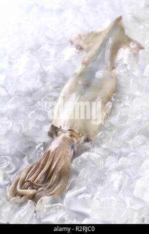 Stockfoto