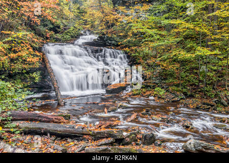 Wildwasser fällt nach unten durch den Herbst Landschaft der Mohikaner fällt, ein Wasserfall in Ganoga Glen an Ricketts Glen State Park, Pennsylvania. Stockfoto