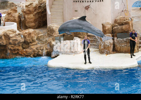 SAN DIEGO, Kalifornien, USA - Juni 3, 2009: Es gibt eine Darstellung. Delphin Show. Die Delphine, die aus dem Wasser gesprungen ist. Sea World Stockfoto