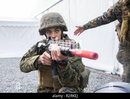 Us Marine Corps Pfc. Justin Arnet bietet Sicherheit beim Bohren in eine schnelle Reaktion während der Trident Punkt 18 auf vaernes Air Base, Norwegen, Nov. 3, 2018 Teilnehmenden. Die Übung verbessert die USA und die NATO-Verbündeten und Fähigkeiten der Partner zur Zusammenarbeit militärische Operationen unter schwierigen Bedingungen durchzuführen. Arnett ist ein Motor transport Mechaniker mit Marine Air Control Gruppe 28, 2. Marine Flugzeugflügel. Stockfoto