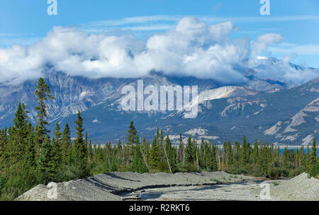 Eine Ansicht einer Riverbed nördlich von Haines Junction, Yukon Teritory, Kanada Stockfoto