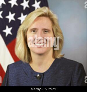 Frau Erin Mahan ist der Direktor der Geschichte und Bibliothek Direktion, Washington Zentrale Dienstleistungen, Büro des Verteidigungsministers, stellt für seine offiziellen DOD-portrait in der Armee portrait Studio im Pentagon an November 28, 2013. Stockfoto