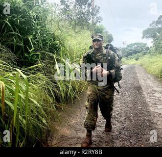 Spc. Hunter Collins, 545Th Hafenmeister, 8 STB, 8 Theater Sustainment Command bricht kaum ins Schwitzen, als er den 3 Meile in dieser 12-Mile Road März Schofield Barracks, Hi Ansätze. Hunter war einer der drei unteren Soldaten Soldaten in der 8. Spezielle Truppen Bataillon NCO, Soldat des Jahres Wettbewerb teilnehmen. Stockfoto