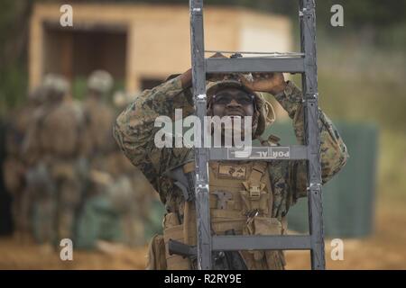 Lance Cpl. Shakeel Bovell bereitet eine Leiter einen defensiven Kampf Position während einer Marine Corps Combat Readiness Evaluation (MCCRE) im Camp Hansen, Okinawa, Japan, Nov. 6, 2018 zu verstärken. Marines mit Bravo Company, 9 Techniker, 3. Marine Logistics Group nahmen an der MCCRE, ihre Fähigkeiten in der Zähler Mobilität und Überlebensfähigkeit auf dem Schlachtfeld zu beweisen. Die Marines wurden auf ihre Geschwindigkeit und Leistungsfähigkeit abgestufte während der Bereitstellung von defensiven Kampf und Zähler Mobilität Stationen gegen den Feind. Bovell, eine Bekämpfung der Ingenieur mit Bravo Co., 9. ESB, 3. MLG, ist ein Eingeborener von Tampa, Stockfoto