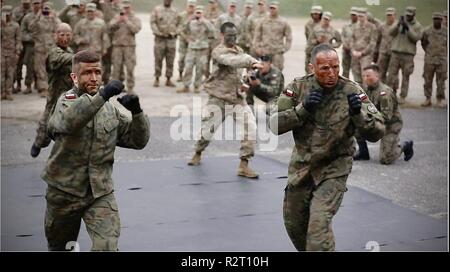 Us-Armee Soldaten von der 91st Brigade Ingenieur Bataillon, 1st Armored Brigade Combat Team, 1.Kavallerie Division Blick auf als Mitglieder ihrer Bataillon mit der Polnischen 23 Field Artillery Regiment für ein combatives Demonstration vor einem Publikum von Amerikanische und polnische Soldaten in Boleslawiec, Polen, 9. November 2018 zu beteiligen. Der Säbel Bataillon hat in einer Reihe von gemeinsamen Aktivitäten mit den host Polnischen 23 weit in Boleslawviec zur Verstärkung der Interoperabilität zwischen den USA und den NATO-Streitkräften als 1-1 CD weiterhin in Europa zu unterstützen Atlantic Lösen teilgenommen Stockfoto