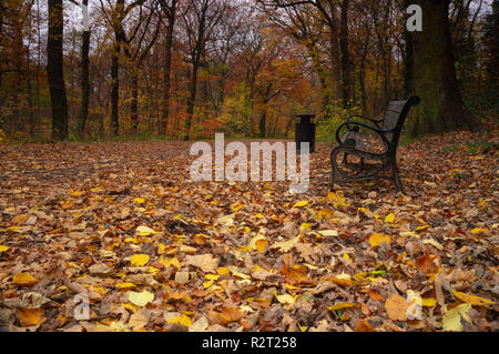 Eine Parkbank an der Seite der Trail in Norfolk Park, Sheffield, im Herbst Stockfoto