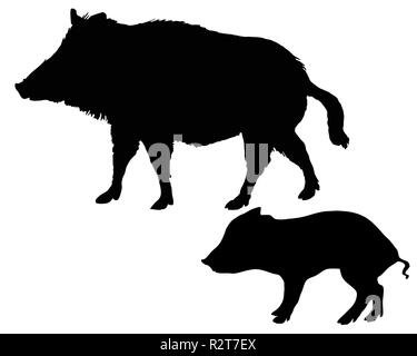 Wildschwein Silhouetten Stockfoto