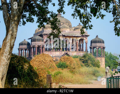 Battis Khamba Chhatri (32 Säulen getragenen Dach) Tempel, Ranthambore Nationalpark. Schönen roten Sandstein Tempel, durch die Bäume gesehen. Stockfoto