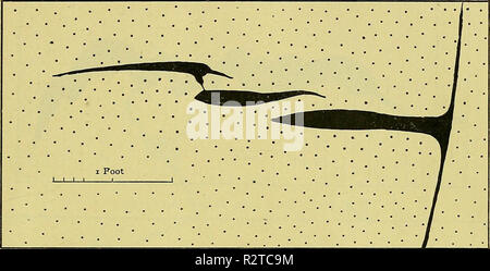 "Die Zeitschrift der Geological Society of London" (1845) Stockfoto