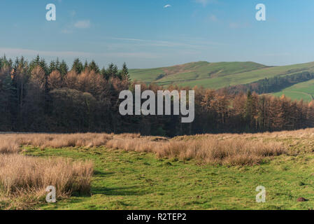 Blick in eine weit entfernte Shutlingsloe Hügel in Cheshire, Peak District National Park. Stockfoto