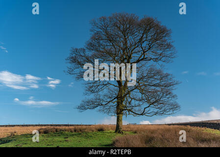 Blick in eine weit entfernte Shutlingsloe Hügel in Cheshire, Peak District National Park. Stockfoto